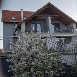 Фотографии мини отеля
Villa Rigo Panzió