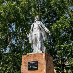 Фотография памятника Памятник Сибиряку-партизану