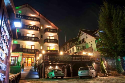 Фотография гостевого дома Carpatic