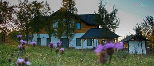 Фотография базы отдыха Maramures Landscape