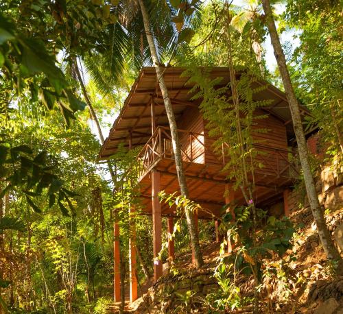 Фотографии гостевого дома
Polwaththa Eco Lodges