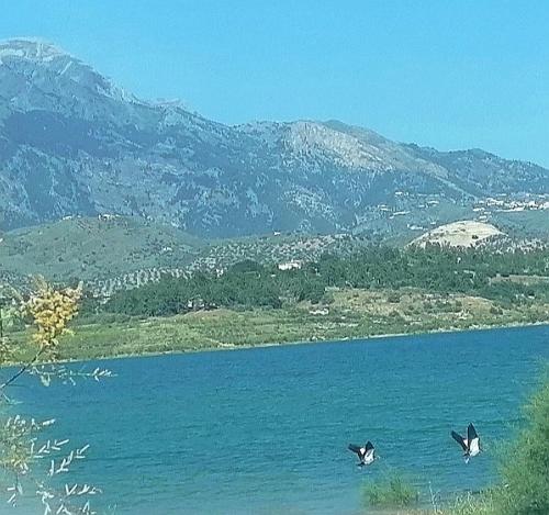 Фотографии гостевого дома
Casa Luis