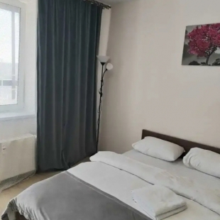 Фотография квартиры Апартаменты InnDays Логинова 5к2