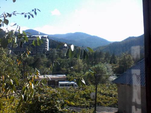 Фотография Жилья Borjomi Likani Homestay