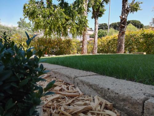 Фотография гостевого дома Le Betulle Affittacamere