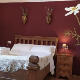 Фотография гостевого дома Alojamiento El Parral