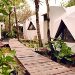 Фотография гостиницы Frequency