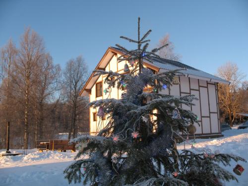 Фотографии гостевого дома 
            Дом для отдыха