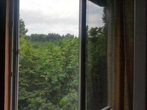 Фотография гостевого дома Cozy Guest House In Batumi