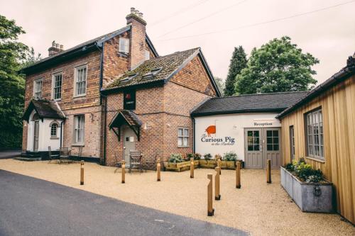 Фотография гостиницы The Curious Pig in the Parlour