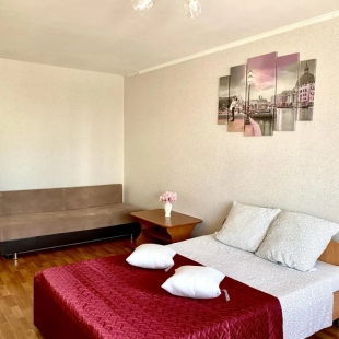 Фотография квартиры Сеть посуточных квартир на улице Демьяна Бедного 21