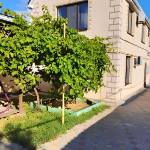 Фотография Коттеджа Частный Дом с Террасой и Мангалом