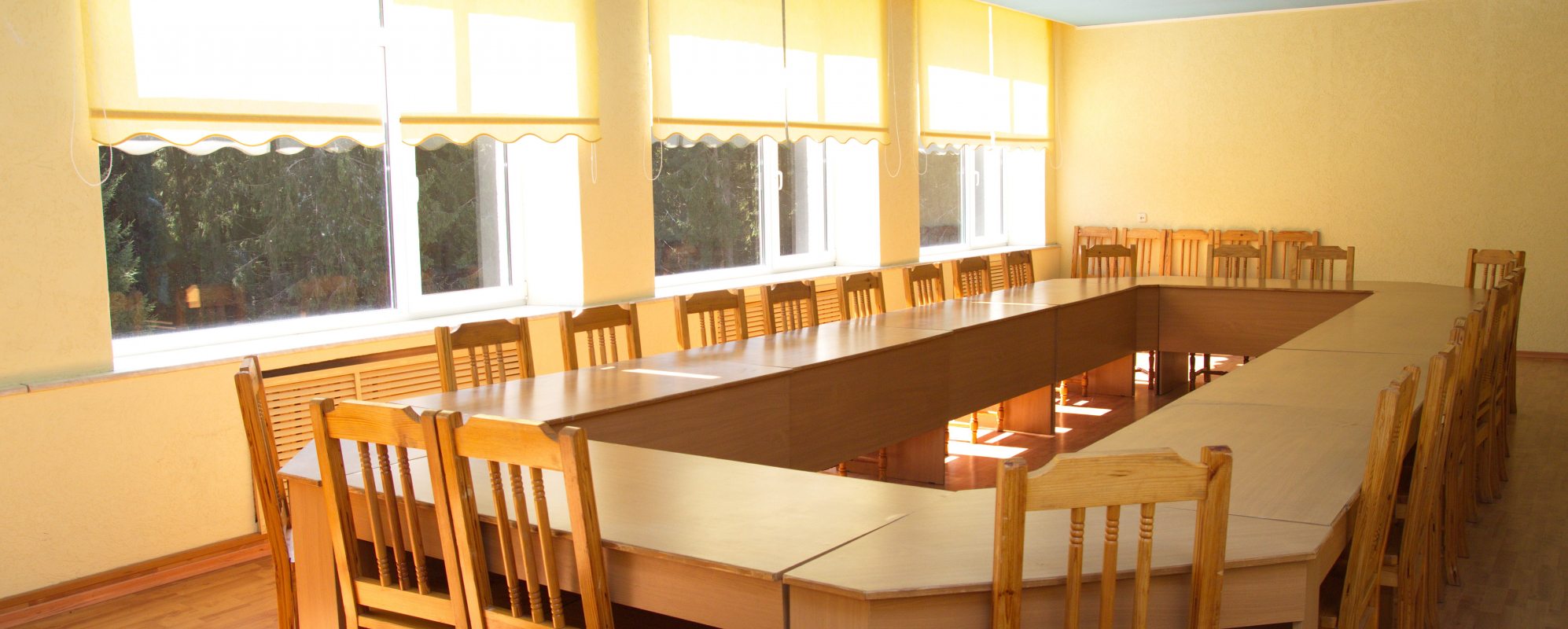 Фотографии конференц-зала Пушкиногорье