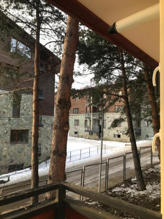 Фотографии квартиры 
            Apartamenti Bakuriani INN