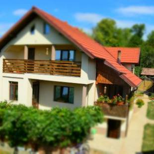 Фотографии гостевого дома
Casa Smeilor Horezu