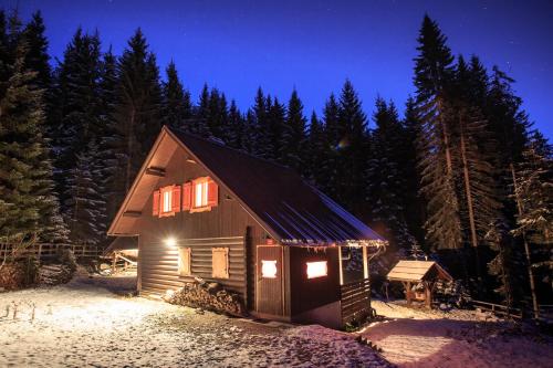 Фотография гостевого дома Chalet Trzinka