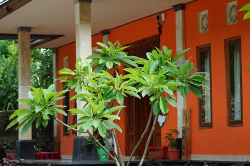 Фотография мини отеля Made Roejas Family