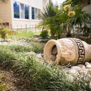 Фотография мини отеля Олимп