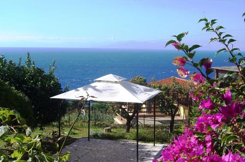 Фотография гостевого дома Il Mirto