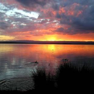 Фотографии гостевого дома
Paradise Bungalow Waterfront