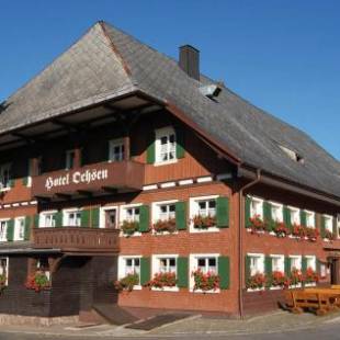 Фотографии гостиницы
Hotel Ochsen