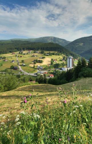 Фотография гостиницы Hotel Horizont