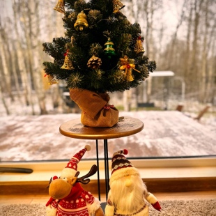 Фотография Коттеджа Частный дом для двоих