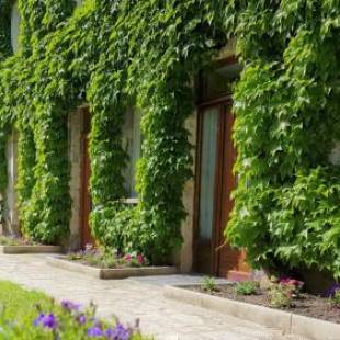 Фотографии гостиницы
Le Beaugency