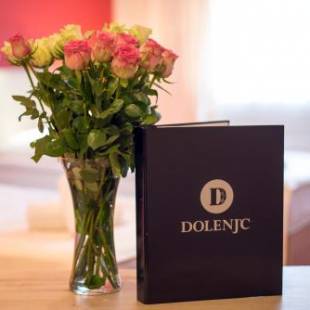 Фотографии гостиницы 
            Hotel Dolenjc