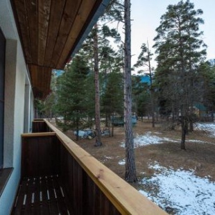 Фотография гостевого дома ARKHYZ FOREST