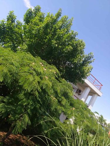 Фотографии гостевого дома
Морской