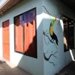 Фотография мини отеля HOUSE CATTLEYA monteverde