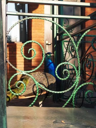 Фотография гостиницы Хотиси