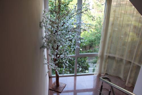 Фотографии мини отеля
Аквамарин