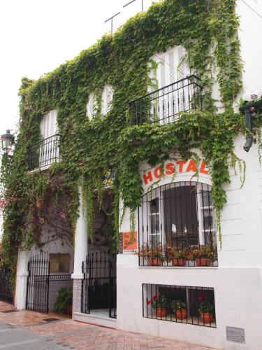 Фотография гостевого дома Hostal Tres Soles