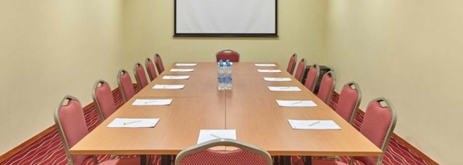 Фотография конференц-зала Орион