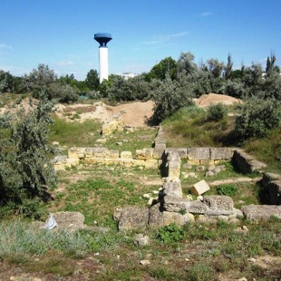Фотография достопримечательности Греко-скифское городище Чайка