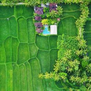 Фотографии мини отеля
Hati Padi Cottages