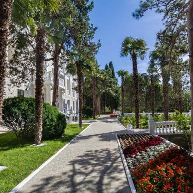 Фотографии санатория
Сосновая роща