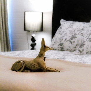 Фотография квартиры Апартаменты Квартира Рядом с Аэропортом Внуково