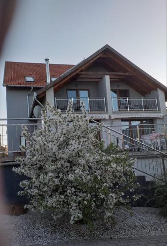 Фотография мини отеля Villa Rigo Panzió