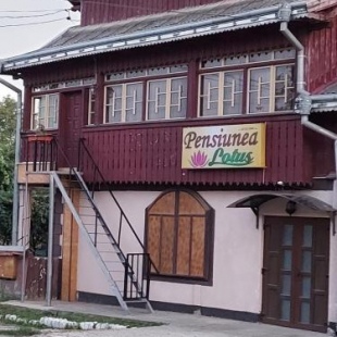 Фотография гостевого дома Lotus