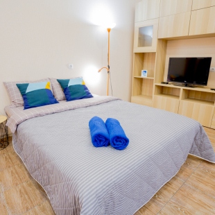 Фотография квартиры Апартаменты Большая студия напротив Доктрины.