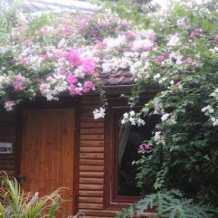 Фотографии базы отдыха 
            Green Peace Bungalow
