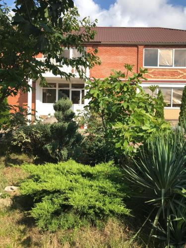 Фотография гостевого дома Чайка