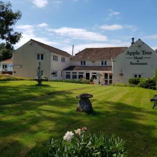 Фотографии гостиницы
Apple Tree Hotel