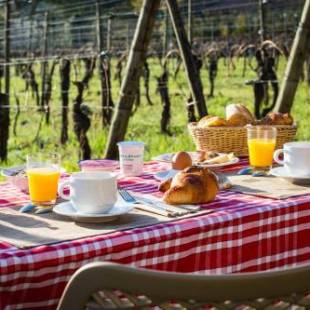 Фотографии гостиницы 
            James Vignoble Hôtel - Eguisheim