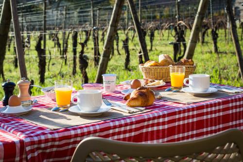 Фотография гостиницы James Vignoble Hôtel - Eguisheim