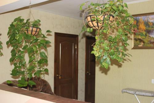 Фотография гостевого дома RELAXTUT