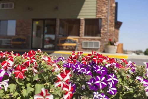 Фотография гостиницы Super 8 by Wyndham Columbus